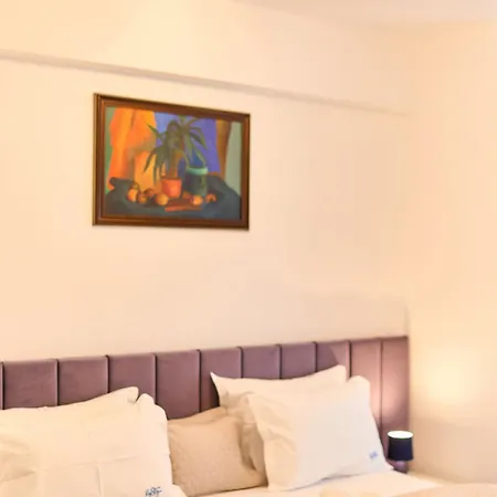 Niko Infinity Mamaia